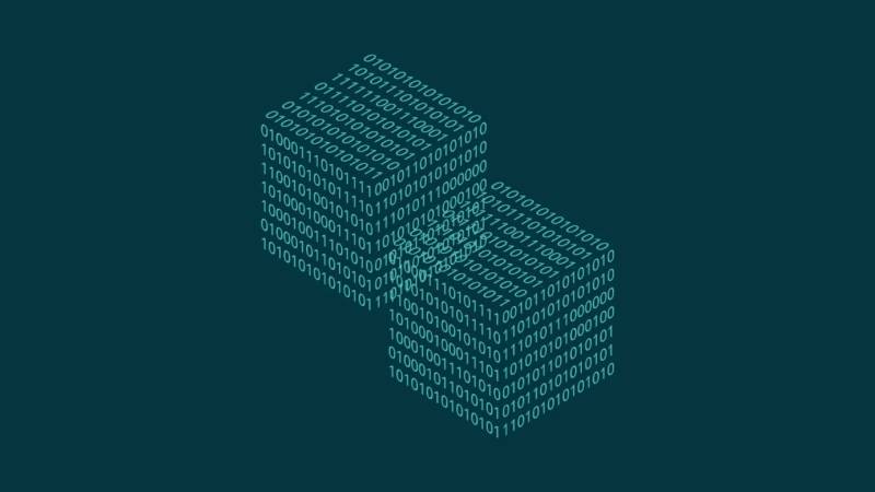 防城区信创改造：网络应用开发流程标准化的核心路径与实践
